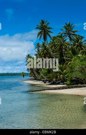 Spiaggia di sabbia bianca e palme, Yap Island, Isole Caroline, Stati Federati di Micronesia Foto Stock