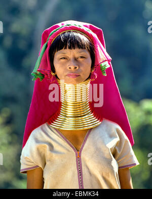 A collo lungo donna Padaung tribù di montagna, noto anche come le donne giraffa, indossando gli anelli dei collari, provincia di Chiang Rai Foto Stock
