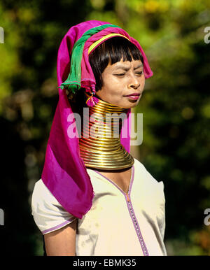 A collo lungo donna Padaung tribù di montagna, noto anche come le donne giraffa, indossando gli anelli dei collari, provincia di Chiang Rai Foto Stock