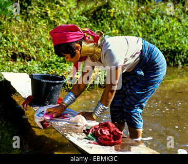 A collo lungo donna Padaung tribù di montagna, noto anche come le donne giraffa, indossando gli anelli dei collari e il lavaggio della biancheria Foto Stock