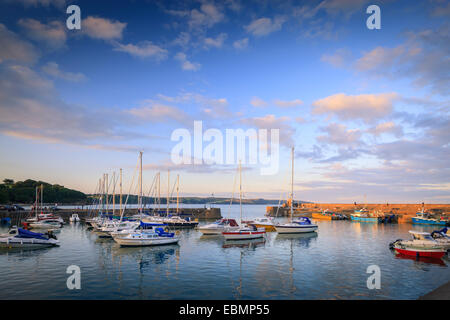 Saundersfoot Harbour Pembrokeshire Wales Foto Stock