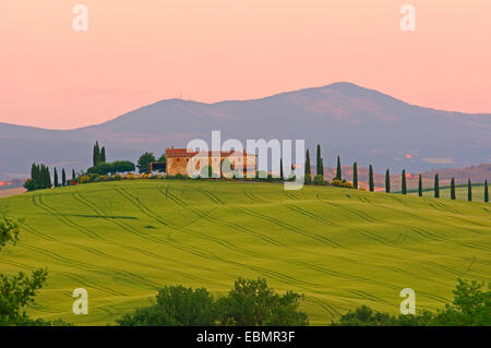 Val d'Orcia, Val d'Orcia, campi e casa colonica Toscana paesaggio, sito patrimonio mondiale dell'UNESCO, in provincia di Siena, Toscana, Italia, Foto Stock