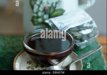 Zucca della Stiria, olio della Stiria zucca (Cucurbita pepo var. styriaca), la zucca di olio di semi in un piatto di vetro Foto Stock