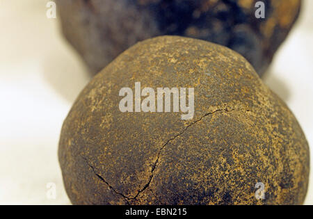 Nodulo di manganese da deep-mare Foto Stock