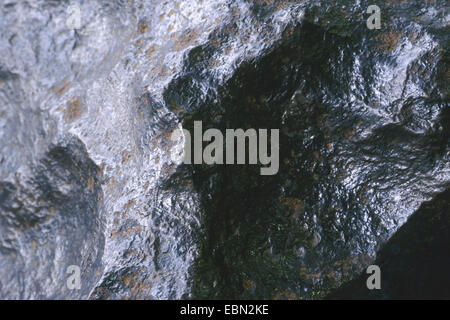 Meteorite ferroso, tipo ferro IV A., ematite crosta ossidato, Namibia Foto Stock