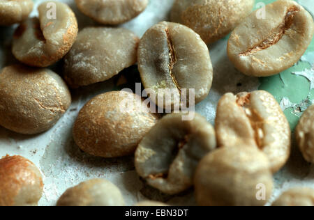 Il caffè non torrefatto fagioli Foto Stock