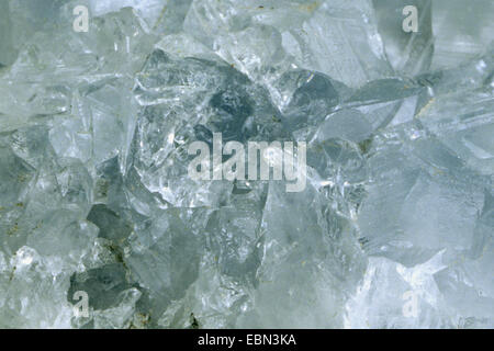 Celestino, Madagascar Foto Stock