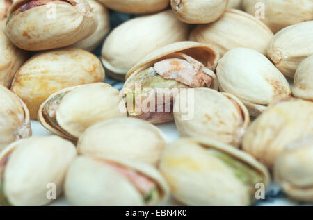 Pistacchio (Pistacia vera), frutta Foto Stock