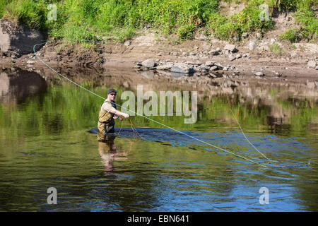 Salmone atlantico, ouananiche, lago di salmone atlantico, senza sbocco sul mare salmone, la Sebago salmone (Salmo salar), salmone pescatore con canna da pesca, Irlanda, Moy River Foto Stock