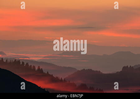 Luce della Sera e nebbioso schermi nelle Alpi, Austria, Tirolo, Kaisergebirge Foto Stock