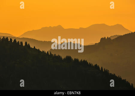 Luce della sera nelle Alpi, Austria, Tirolo, Kaisergebirge Foto Stock