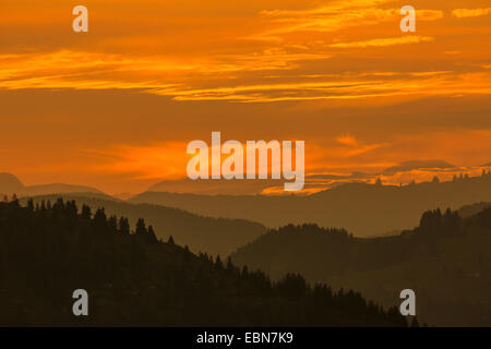 Luce della sera nelle Alpi, Austria, Tirolo, Kaisergebirge Foto Stock