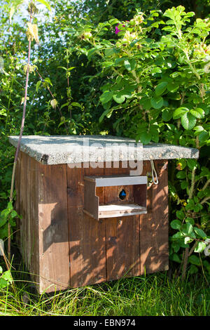 Il nesting box-per-Bumble Bee, Germania Foto Stock