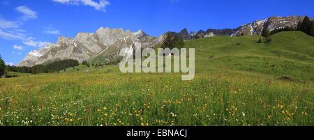 Alpstein massiccio con Saentis in estate, Svizzera, Appenzell Foto Stock