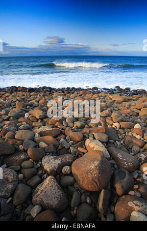 Stony costa del Northumberland, Regno Unito, Inghilterra, Northumberland Foto Stock