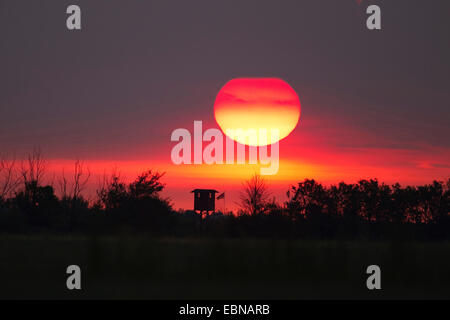 Silhouette di pelle sollevata a sunrise, Germania Foto Stock