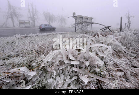 Zasovice, Repubblica Ceca. 03 dic 2014. Calamità di ghiaccio è stata tormentata repubblica Ceca dal lunedì. Si è fermato il traffico tranviario in molte città e molto del treno di trasporto attraverso il paese e anche a causa del ghiaccio sulle strade è accaduto un sacco di incidenti stradali. La foto viene scattata su Mercoledì 3 dicembre, 2014, in Zasovice, Regione della Moravia, Repubblica Ceca. Credito: CTK/Alamy Live News Foto Stock