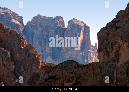 Tori alla Tre Cime di Lavaredo area, in background parte del gruppo Zwoelferkofel, Italia, Alto Adige, Dolomiti Foto Stock