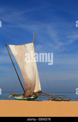 Outrigger barca con vele sulla spiaggia di Negombo, Sri Lanka Foto Stock