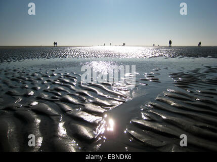 Il wadden sea a Sankt Peter-Ording, in Germania, in Renania settentrionale-Vestfalia, Sankt Peter-Ording Foto Stock