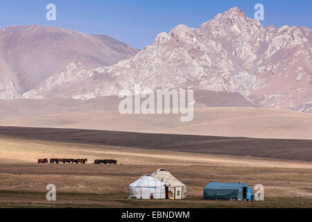 Yurta e cavalli nella steppa, la gamma della montagna di background, Kirghizistan, Lago Song Kul , Naryn Foto Stock