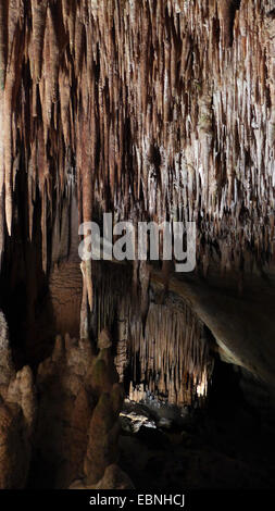 Grotte del Drach, caverna del drago, Spagna, Balearen, Maiorca, Porto Christo Foto Stock