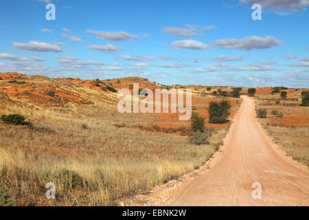 Strada sterrata attraverso le dune del Kalahari vicino Kij Kamies, Sud Africa, Kgalagadi transfrontaliera Parco Nazionale Foto Stock