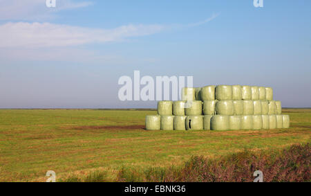 Fieno impilati bails wraped circa con una lamina di verde, Paesi Bassi, Frisia Foto Stock