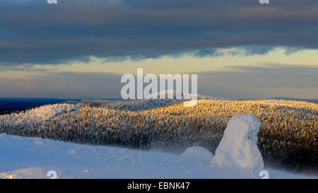 Coperta di neve in inverno foresta a una tempesta di neve in Rukatunturi, Mount Valtavaara in background, Finlandia, Kuusamo Foto Stock