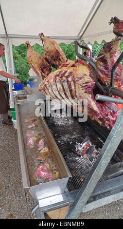 Bull tostatura su uno spiedino di una griglia professionale Foto Stock