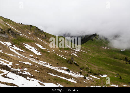 Sentieri escursionistici attraverso campi di neve nebbia, Austria, Tirolo Foto Stock