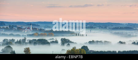 Il bosco e i prati nella nebbia mattutina, inversione atmosferica, in Germania, in Baviera, Isental, Dorfen Foto Stock