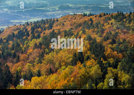 Vista aerea di bosco misto in autunno, Repubblica Ceca, Boehmerwald Foto Stock