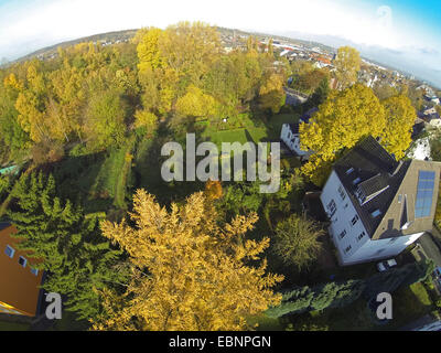 Giapponese larice (Larix kaempferi), vista aerea di insediamento, giardini e grove in autunno, la Germania, la zona della Ruhr Foto Stock