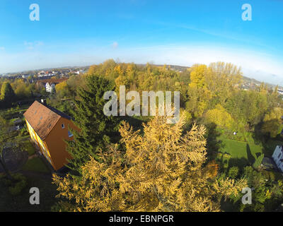 Giapponese larice (Larix kaempferi), vista aerea di insediamento, giardini e grove in autunno, la Germania, la zona della Ruhr Foto Stock