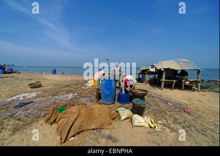 Pescatore di lavoro sulla spiaggia di Negombo, Sri Lanka, Negombo Foto Stock