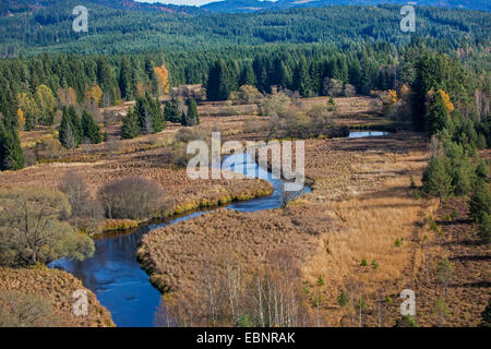 Vista aerea di Warme Moldau avvolgimento attraverso sollevata autunnali bog, Repubblica Ceca, Sumava National Park Foto Stock