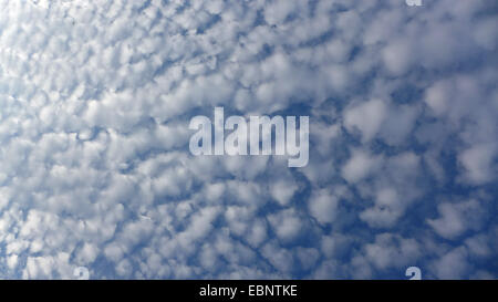 Altocumulus stratiformis, Germania Foto Stock