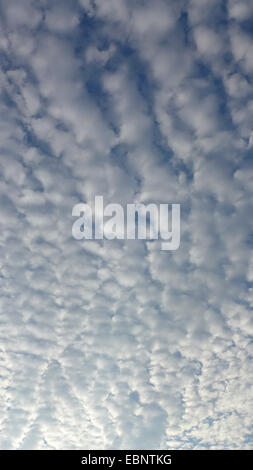 Altocumulus stratiformis, Germania Foto Stock