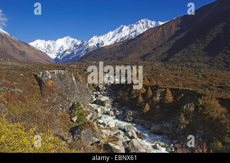 Langtang Valley con Gangchempo e Ponggen Dopku, Nepal, Langtang Himal Foto Stock