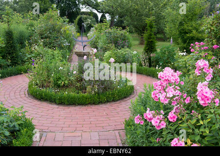 Caduta phlox, giardino phlox (Phlox paniculata), giardino con Meridiana, Germania, Bassa Sassonia Foto Stock
