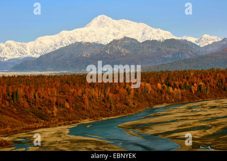 Vista sul Monte Mc Kinley, STATI UNITI D'AMERICA, Alaska Denali Nationalpark Foto Stock