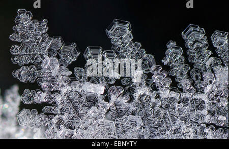 I cristalli di ghiaccio, in Germania, in Baviera, Alta Baviera, Baviera superiore Foto Stock