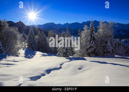 Centrale delle alpi svizzere in inverno, Svizzera Foto Stock