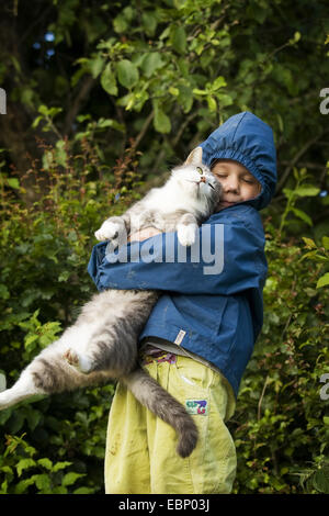 Il gatto domestico, il gatto di casa (Felis silvestris f. catus), quattro anni di bambino che porta un grigio tabby cat, GERMANIA Baden-Wuerttemberg Foto Stock