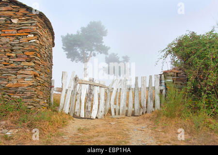 Modo di San Giacomo, recinzione di legno nella nebbia mattutina, Spagna, galiziano, Provinz , USA Montanas Del Fuegos Foto Stock