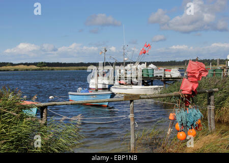 Barca da pesca, boe e bandiere rosse per reti da pesca in idilliaco porto di Darss, Germania, Meclemburgo-Pomerania, Prerow Foto Stock