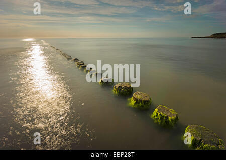 Groyne a costa del Mar Baltico e del tramonto, Germania, Meclemburgo-Pomerania, Mar Baltico, Hiddensee Foto Stock