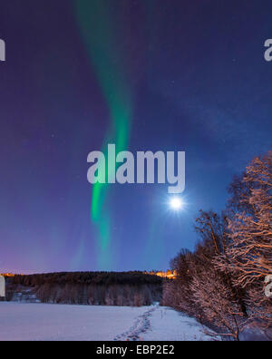 Aurora e luna sopra paesaggio invernale, Norvegia, Troms, Tromsoe Foto Stock