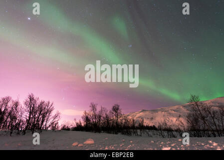 Aurora su Finnvikdalen, Norvegia, Troms, Finnvikdalen Foto Stock